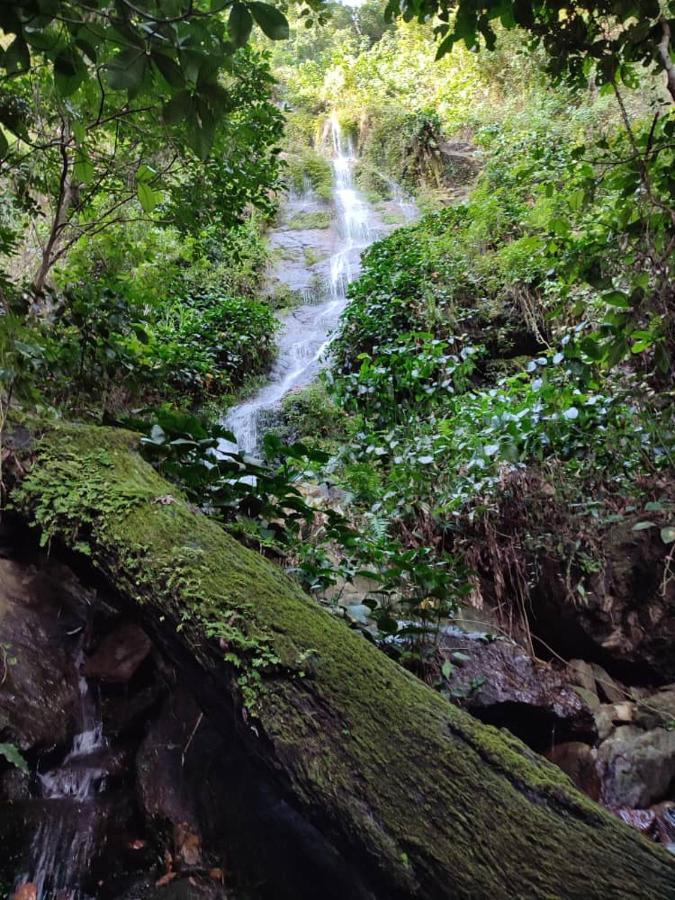 Maison Au Calme Dans La Nature Kpalime Екстер'єр фото