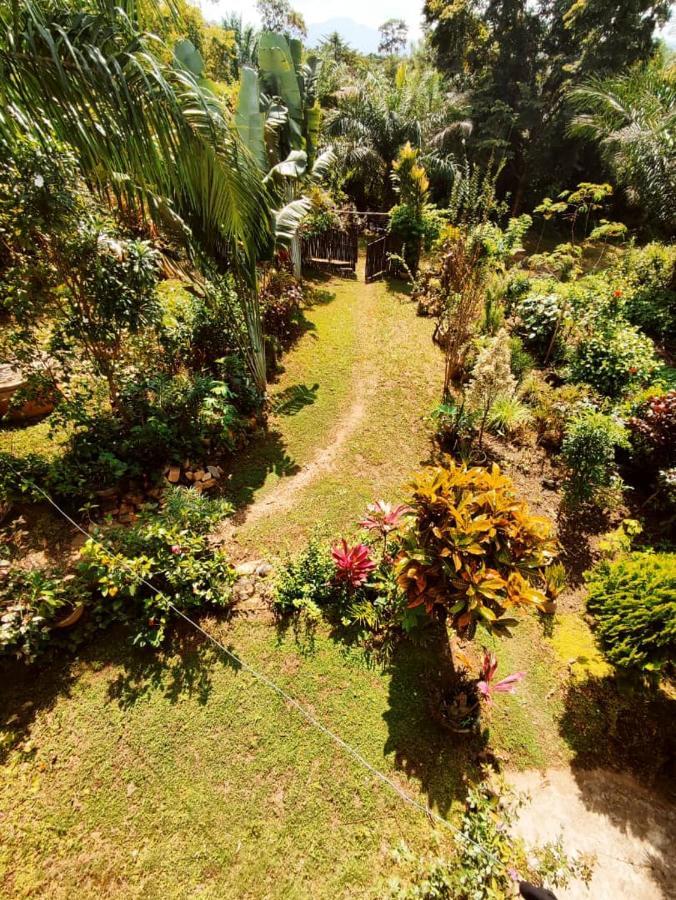 Maison Au Calme Dans La Nature Kpalime Екстер'єр фото