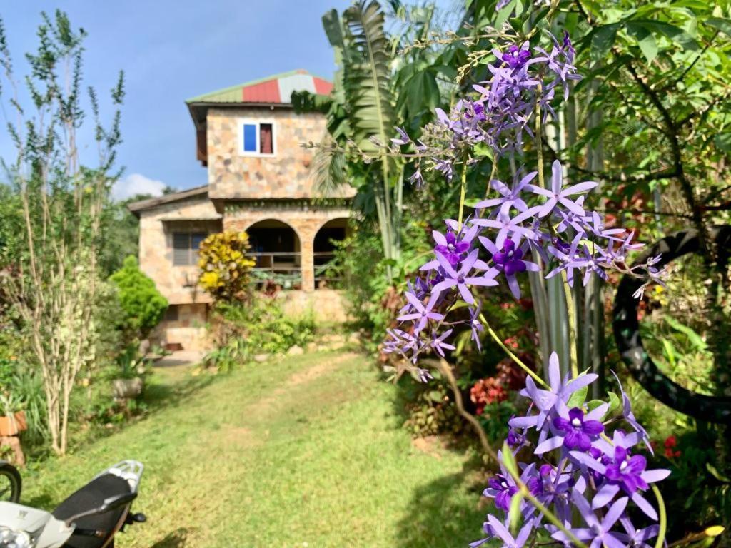 Maison Au Calme Dans La Nature Kpalime Екстер'єр фото